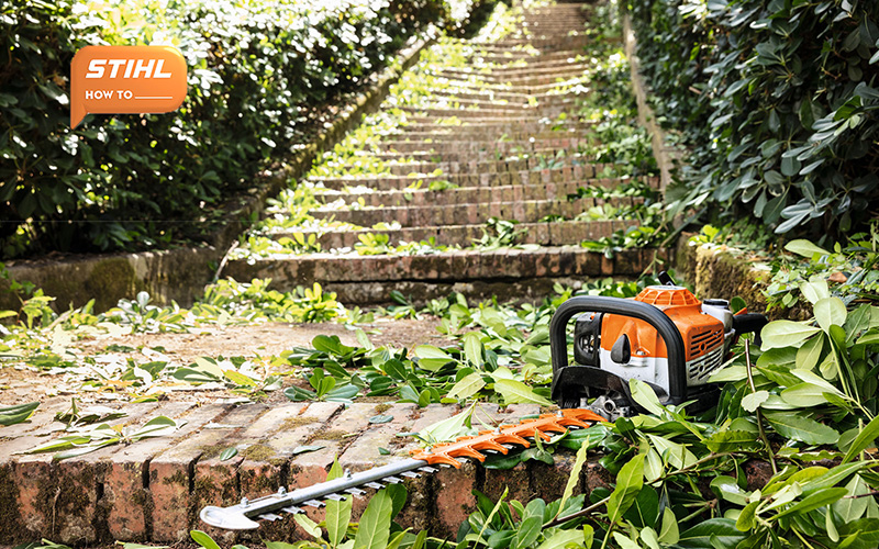 How To Trim A Hedge