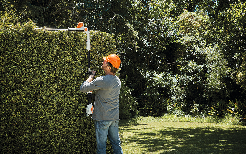 Man cutting a high hedge with the cordless long-reach hedge trimmer STIHL HLA 56.